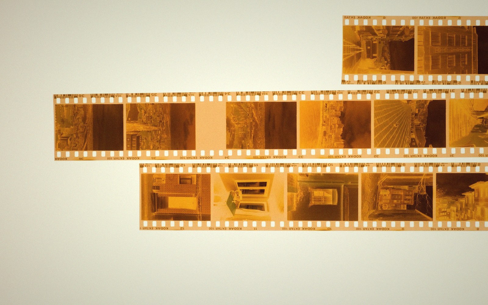 A strip of 35mm frames on a light box